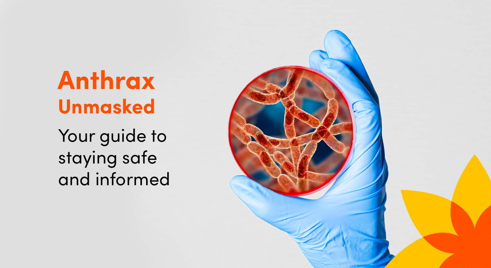Anthrax Unmasked: Your Guide to Staying Safe and Informed